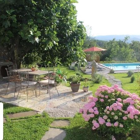 Villa Mavrici, Neighbors Free Buzet Esterno foto