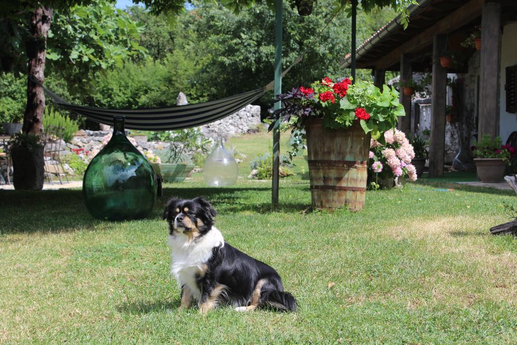 Villa Mavrici, Neighbors Free Buzet Esterno foto