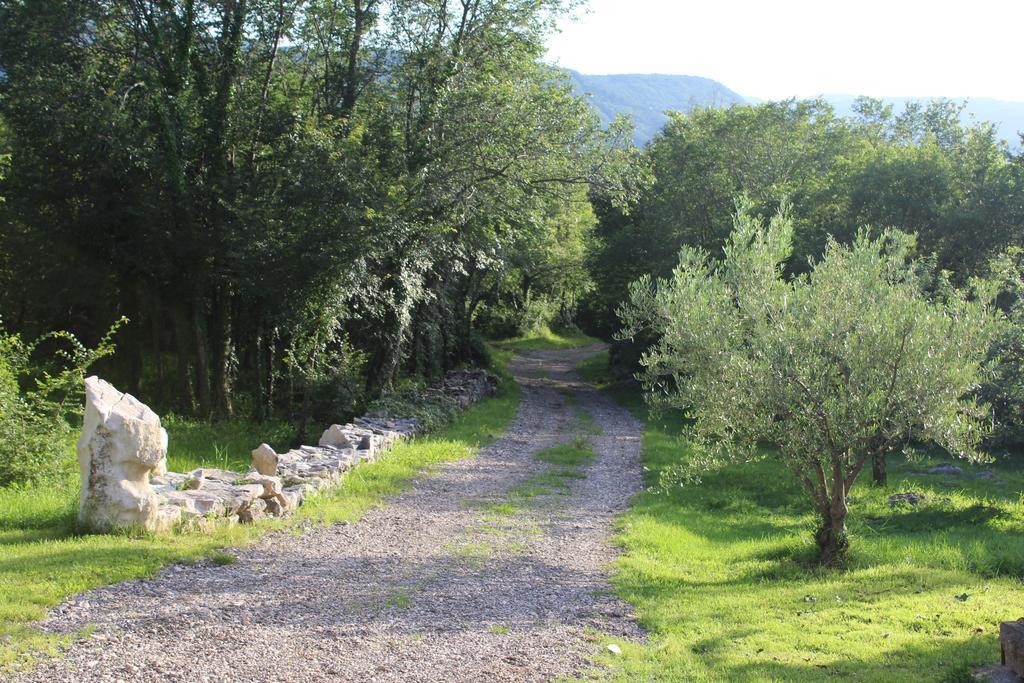 Villa Mavrici, Neighbors Free Buzet Esterno foto