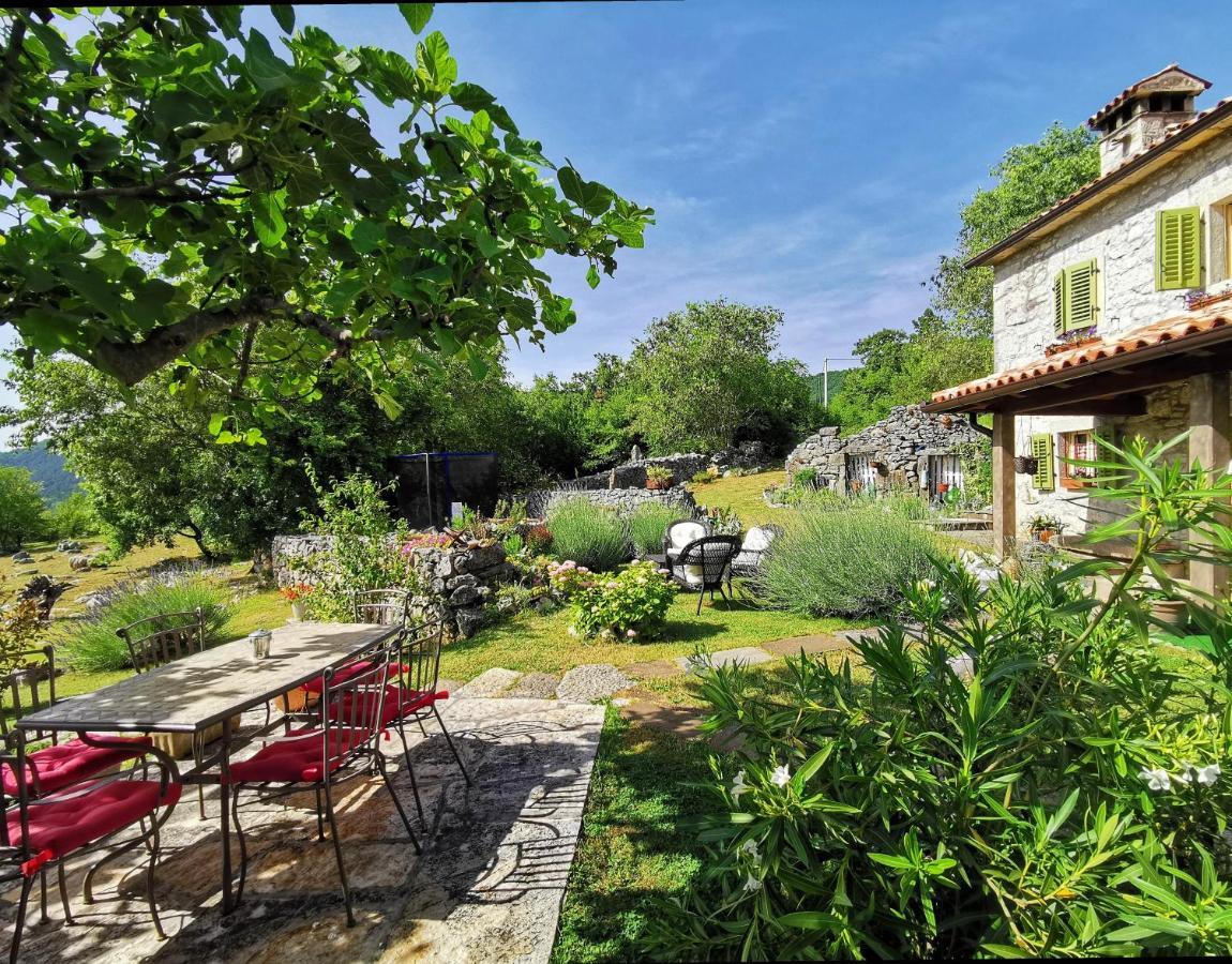 Villa Mavrici, Neighbors Free Buzet Esterno foto